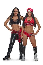 Nikki and Brie Bella Featured in WWE Documentary: 'We're Survivors'