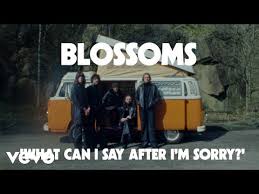 Blossoms unveil What Can I Say After I'm Sorry? video with cameo ...