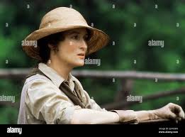 Out of africa meryl streep hi-res stock photography and images - Alamy