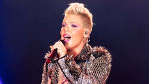 Pink Postpones Four Concert Tour Dates Due To \Family Medical ...